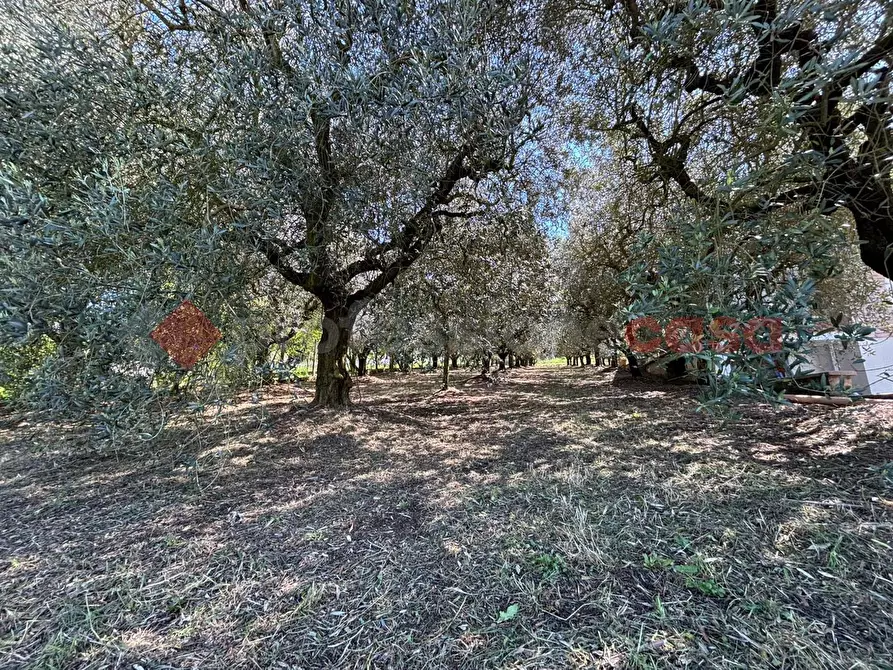 Immagine 15 di Appartamento in vendita  in Via Monte Marino, 44 a Anagni