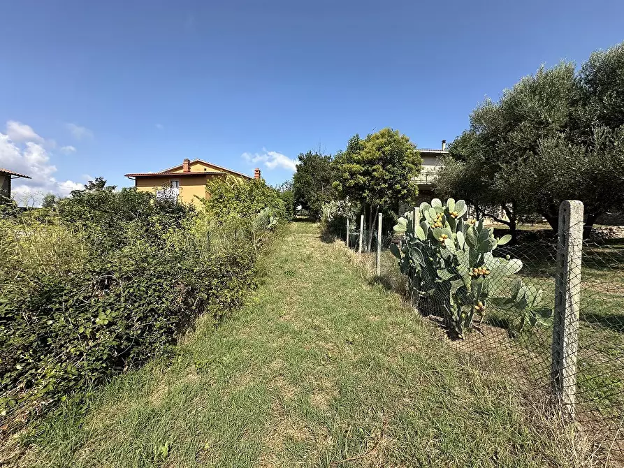 Immagine 3 di Terreno residenziale in vendita  in Via CASE NUOVE, 00 a Canale Monterano