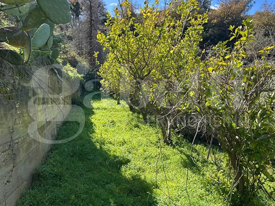 Immagine 43 di Villa in vendita  in Contrada santo stefano, 165/A a Gioiosa Marea