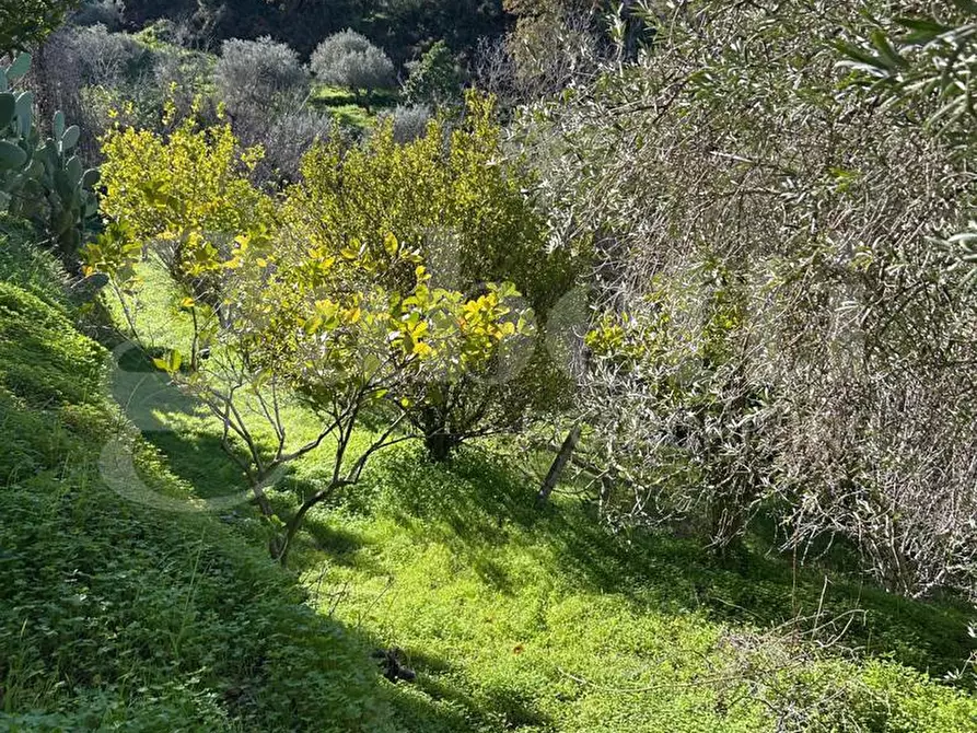 Immagine 40 di Villa in vendita  in Contrada santo stefano, 165/A a Gioiosa Marea