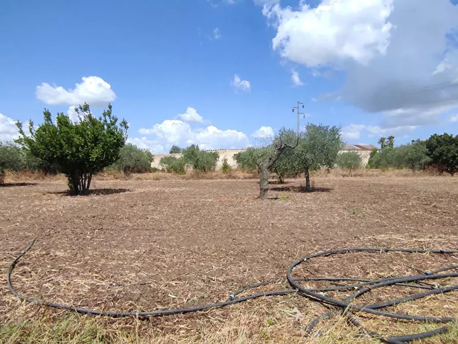 Immagine 9 di Terreno agricolo in vendita  in Via SAN ROCCO, SNC a San Severo