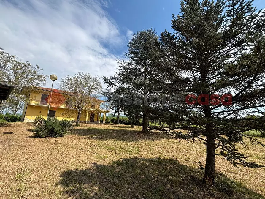 Immagine 4 di Villa in vendita  in Via Capannaccio, 13 a Anagni