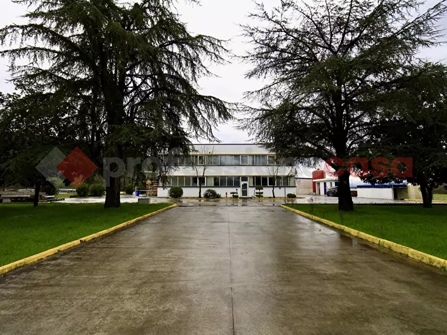Immagine 25 di Capannone industriale in vendita  in LocalitÃ  Paduni, Osteria della Fontana, snc a Anagni