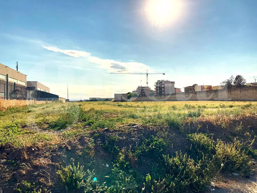 Immagine 4 di Terreno agricolo in vendita  in Via soccorso a San Severo