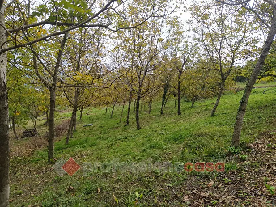 Immagine 9 di Terreno agricolo in vendita  in Via Monteluce Via Monterone a Perugia