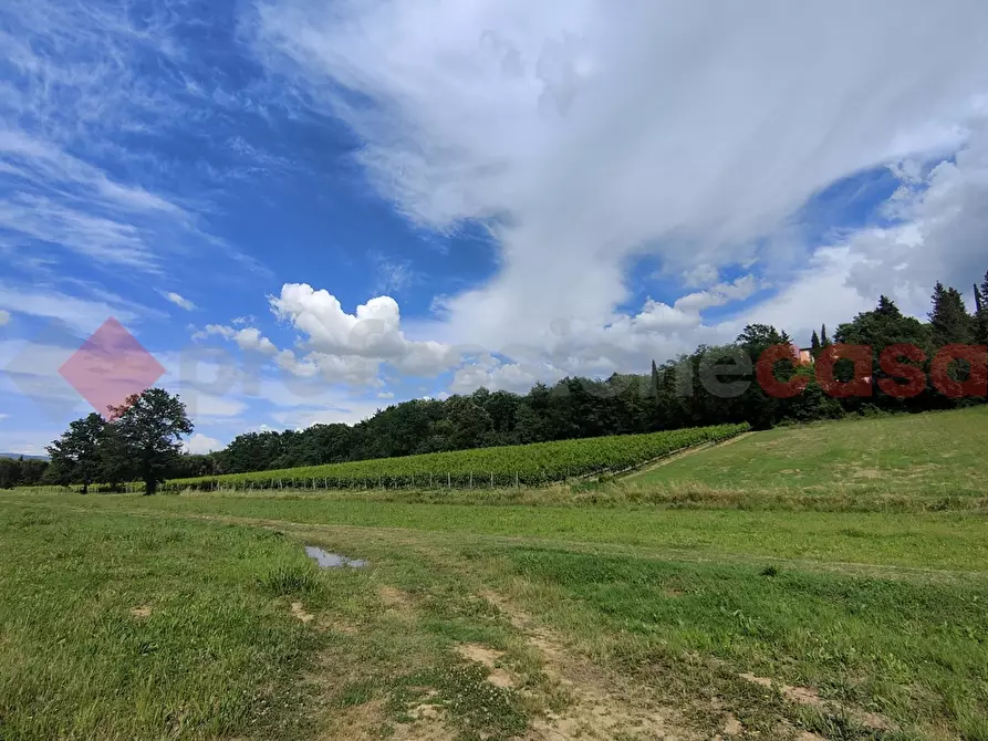 Immagine 3 di Terreno agricolo in vendita  in Via di castagneto a Empoli