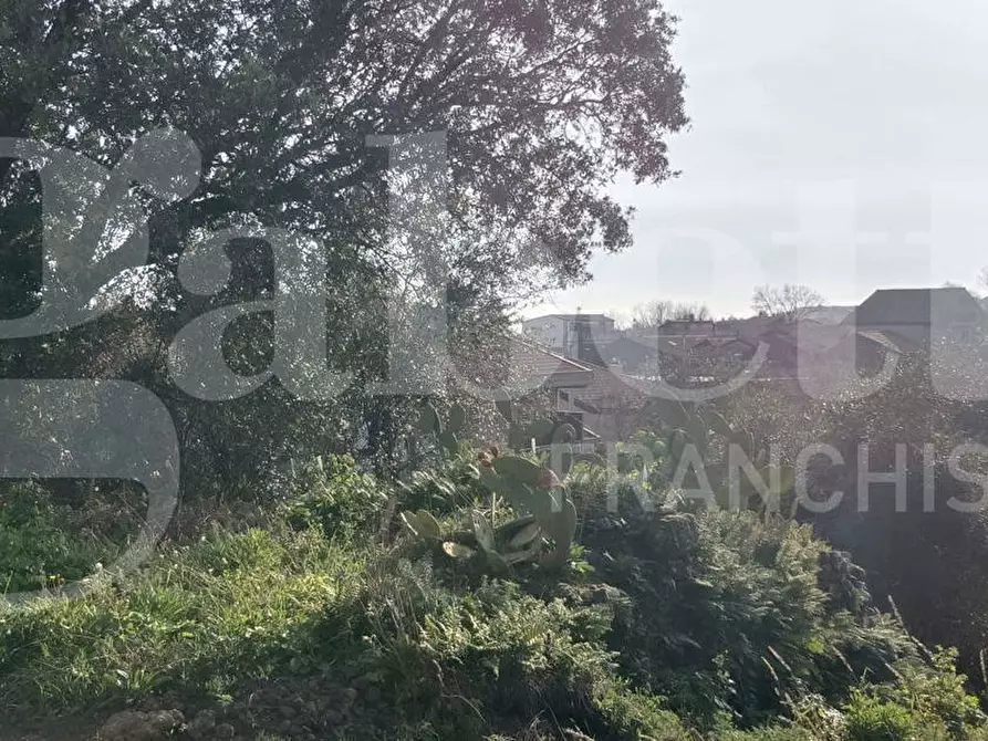 Immagine 18 di Terreno residenziale in vendita  in Via Regalotto, 12 a Pedara