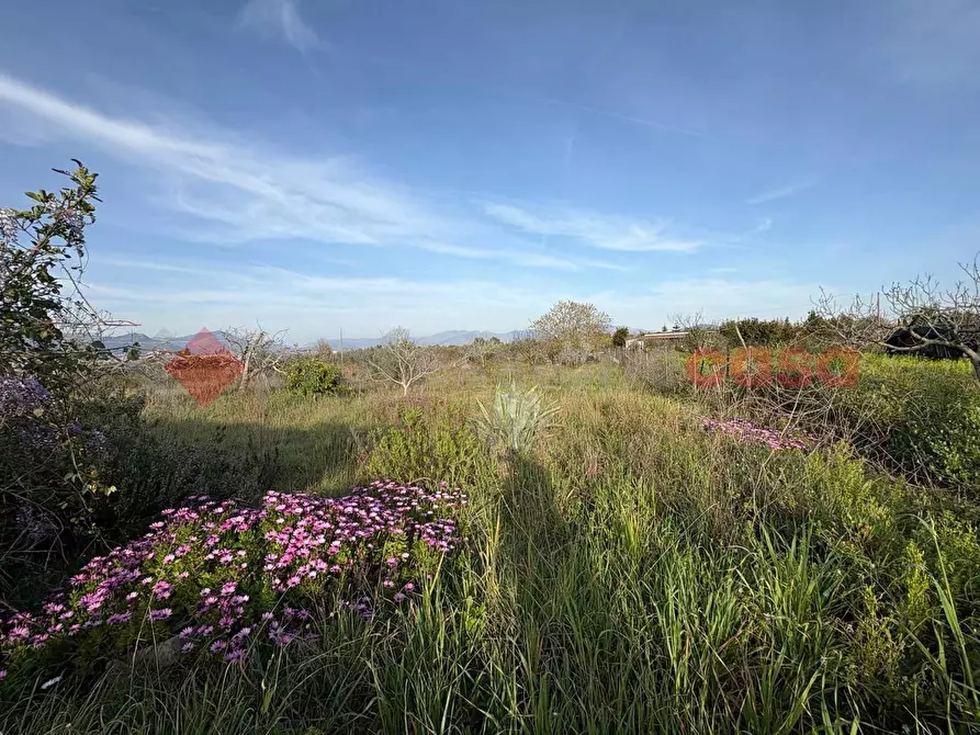 Immagine 5 di Terreno agricolo in vendita  in Via CHIANCHIARELLE, 14 a Fondi