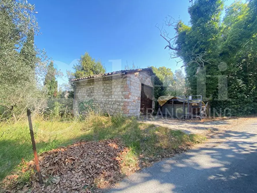 Immagine 1 di Terreno agricolo in vendita  in Via VITTORIO EMANUELE II, 5 a Assisi