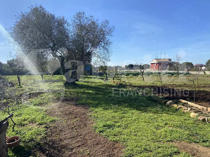 Immagine 15 di Casa indipendente in vendita  in Via Murruzzulu Tronco A, 21 a Sassari