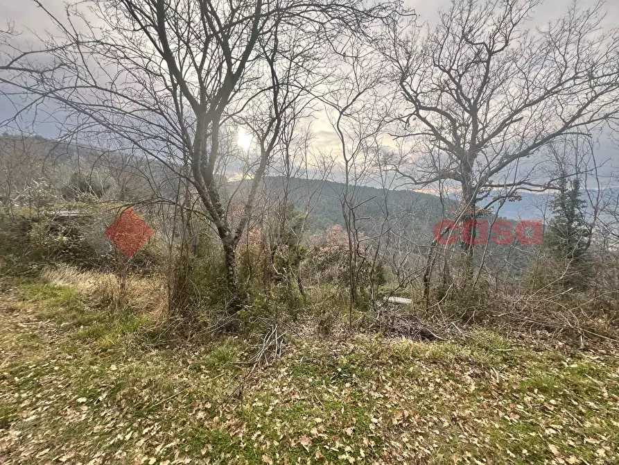 Immagine 15 di Terreno agricolo in vendita  in LocalitÃ  Rubbiano a Spoleto
