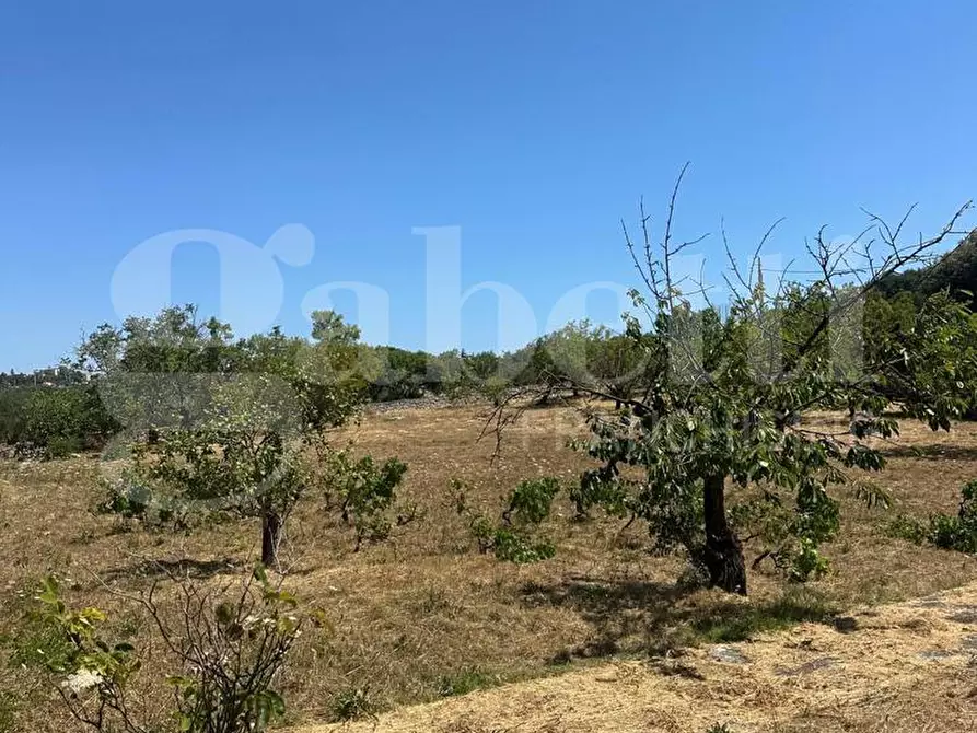 Immagine 18 di Villa in vendita  in Contrada Lamardilla, sn a Ostuni