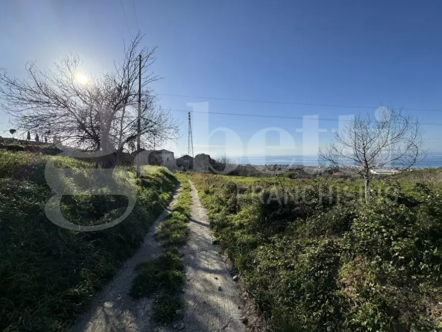 Immagine 5 di Terreno agricolo in vendita  in Contrada raia, snc a Villafranca Tirrena