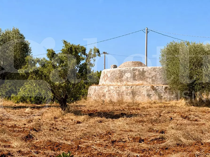Immagine 2 di Rustico / casale in vendita  in Contrada Tamburroni, sn a Ostuni