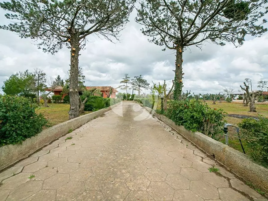 Immagine 1 di Casa indipendente in vendita  in Via S.P. 90 Galatone - Santa Maria al Bagno, 0 a Galatone