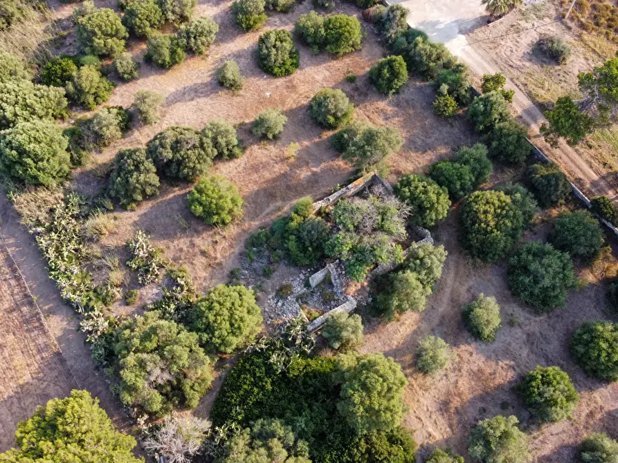 Immagine 8 di Terreno agricolo in vendita  in Contrada Guardiani, . a Portopalo Di Capo Passero
