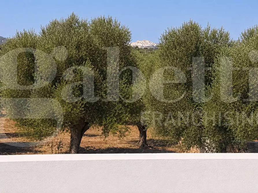 Immagine 26 di Villa in vendita  in Contrada Tamburroni, sn a Ostuni