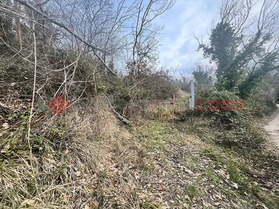 Immagine 2 di Terreno agricolo in vendita  in LocalitÃ  Rubbiano a Spoleto