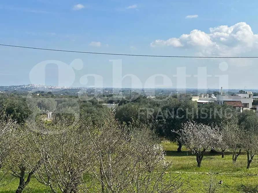 Immagine 20 di Villa in vendita  in Contrada Salinola, sn a Ostuni