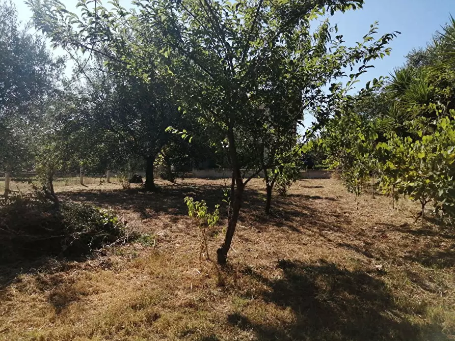 Immagine 3 di Casa bifamiliare in vendita  in Via Melogrosso, 129/B a Sezze