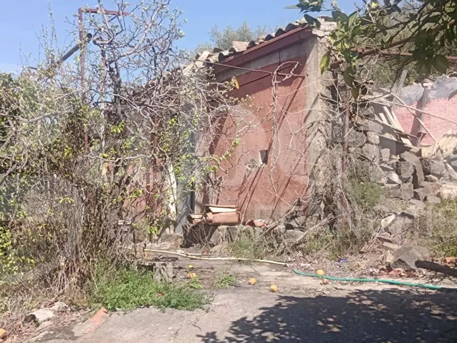 Immagine 12 di Terreno agricolo in vendita  in Contrada Mancusi Soprana, S.N.C a Santa Maria Di Licodia