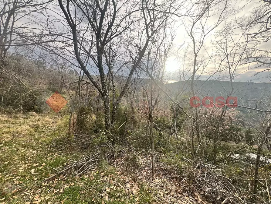 Immagine 14 di Terreno agricolo in vendita  in LocalitÃ  Rubbiano a Spoleto