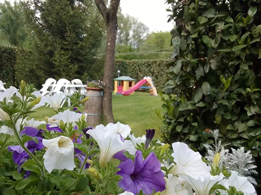 Immagine 8 di Negozio in vendita  in Via Della Fonte, snc a Fontechiari