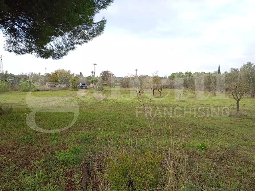 Immagine 21 di Villa in vendita  in Via Acquari Primo, 163 a Lizzanello