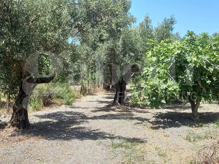 Immagine 9 di Casa indipendente in vendita  in Via Puglia, snc a Catanzaro