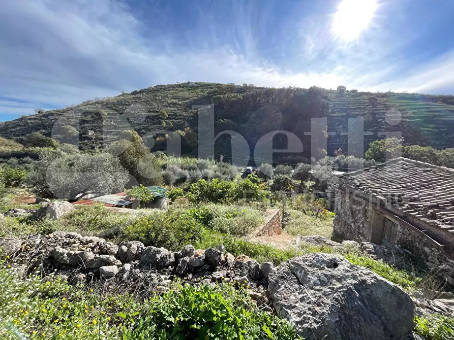Immagine 6 di Terreno agricolo in vendita  in Via Sant'Agostino, snc a Gaeta