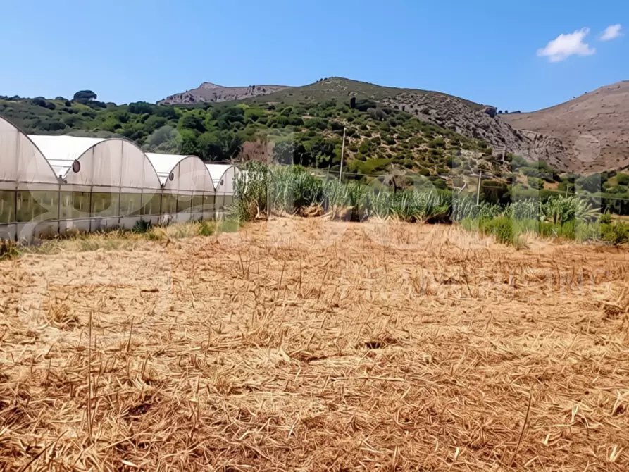 Immagine 5 di Terreno agricolo in vendita  in LocalitÃ  San Vito, s.n.c. a Gaeta