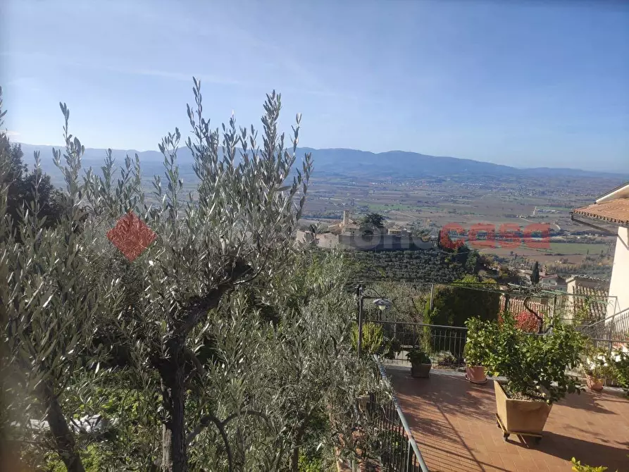 Immagine 4 di Villetta a schiera in vendita  in Via del Colle a Campello Sul Clitunno