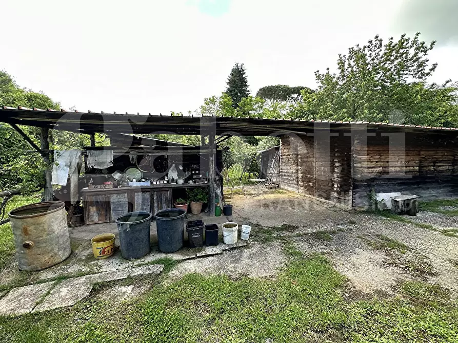 Immagine 8 di Terreno agricolo in vendita  in Via DELLA FIORA, 00 a Manziana