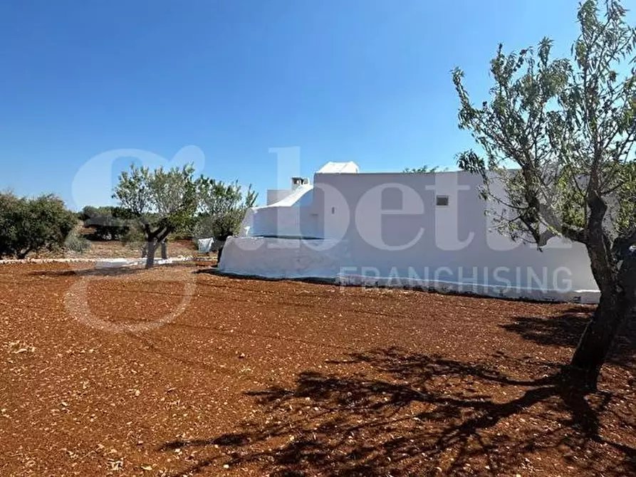 Immagine 11 di Villa in vendita  in Contrada VATO APERTO, sn a Ostuni
