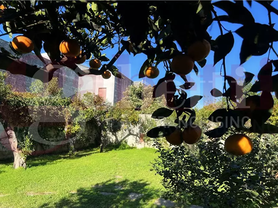 Immagine 23 di Villa in vendita  in Piazza Maria SS. del Rosario, 3/B a Guagnano