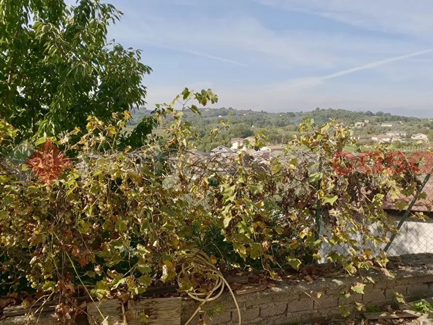 Immagine 20 di Casa indipendente in vendita  in Contrada Mastro Benedetto, snc a Piglio
