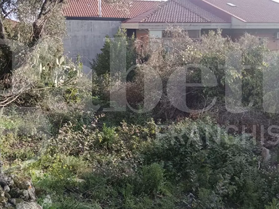 Immagine 10 di Terreno residenziale in vendita  in Via Regalotto, 12 a Pedara