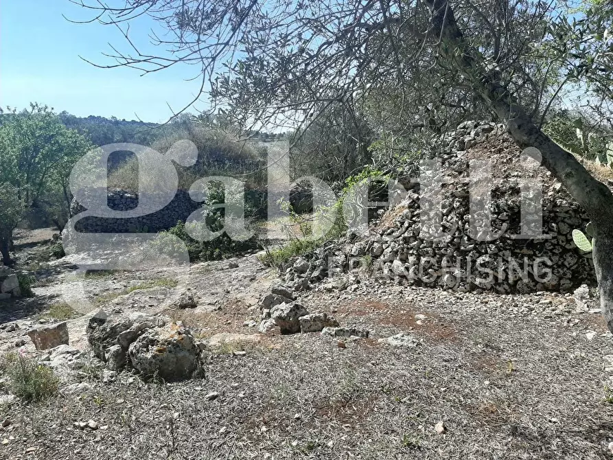 Immagine 12 di Terreno agricolo in vendita  in Contrada la chiusa, sn a Ostuni