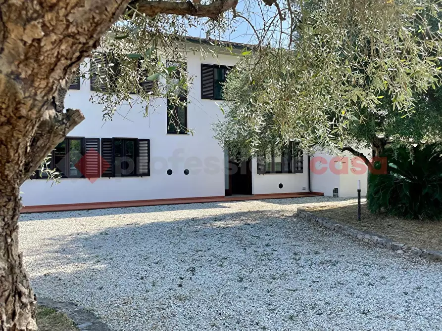 Immagine 3 di Villa in vendita  in Via del bozzo, 61 a Lucca