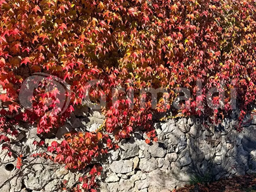 Immagine 10 di Appartamento in vendita  in Via Frazione Morgnaga Via Filippini, 1 a Gardone Riviera