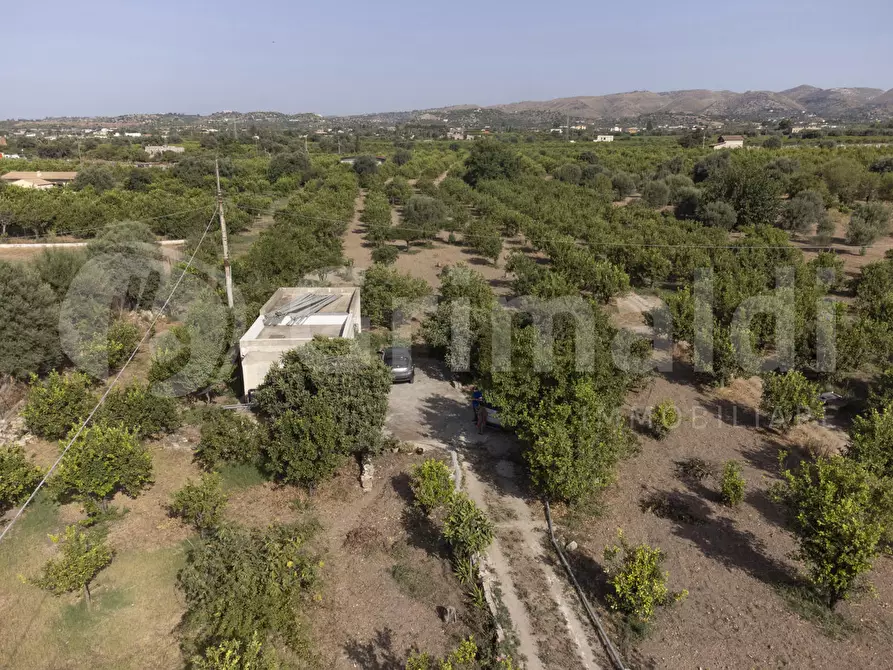 Immagine 4 di Terreno residenziale in vendita  in Contrada calabernardo/palma, snc a Avola