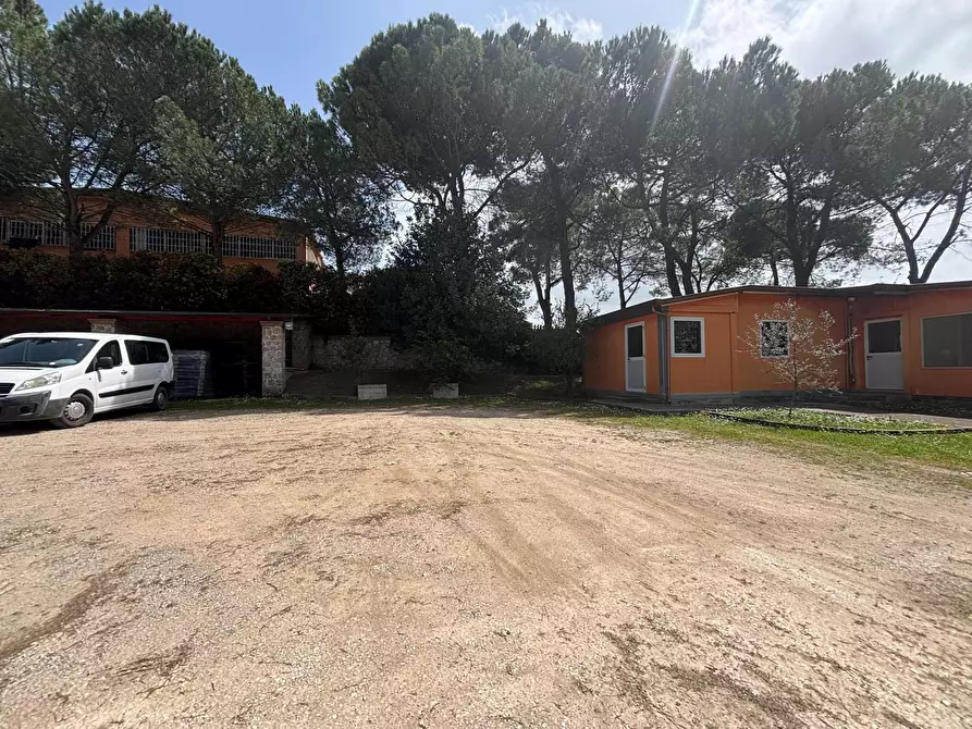 Immagine 9 di Magazzino in affitto  in Via Madonna di Loreto Casale Santospirito, 9 a Anagni