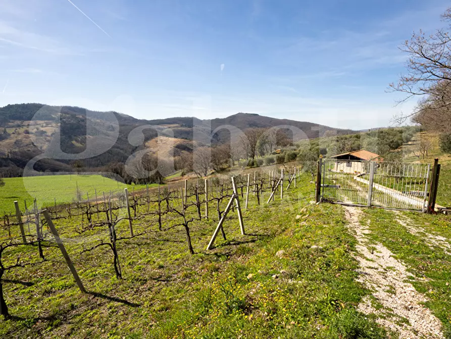 Immagine 41 di Rustico / casale in vendita  in Via DON GIULIO BARABANI, 1 a Assisi