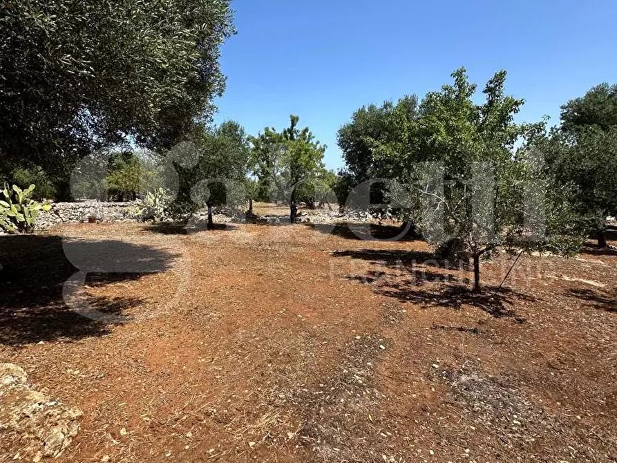 Immagine 12 di Terreno agricolo in vendita  in Contrada Morrone a Ostuni