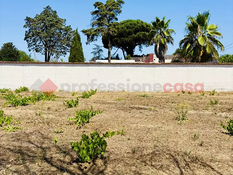 Immagine 27 di Terreno agricolo in vendita  in Via OASI DEL SISTO, 31 a Terracina