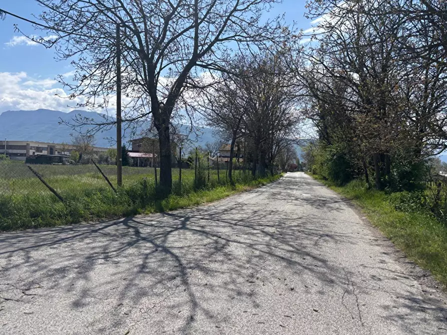 Immagine 4 di Terreno agricolo in vendita  in Via Osteria Della Fontana, 50 a Anagni