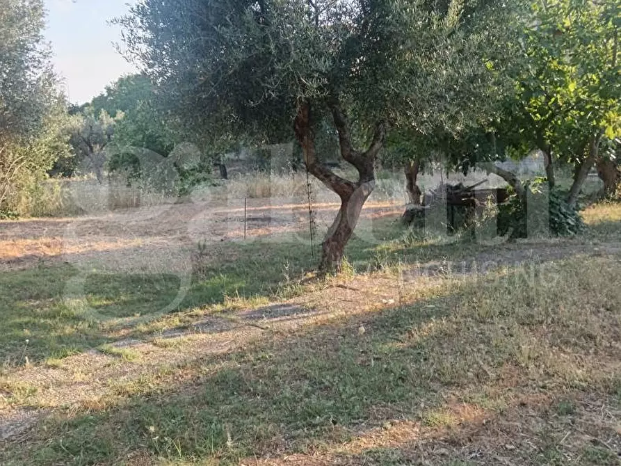 Immagine 4 di Terreno residenziale in vendita  in Via ROSSINI, SNC a Crispiano