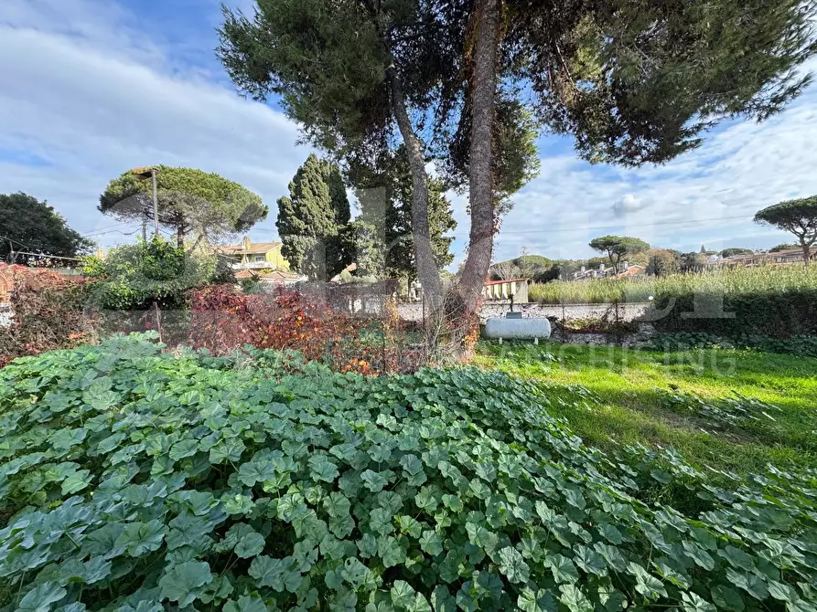Immagine 6 di Casa bifamiliare in vendita  in Via tirso, 48 a Ardea