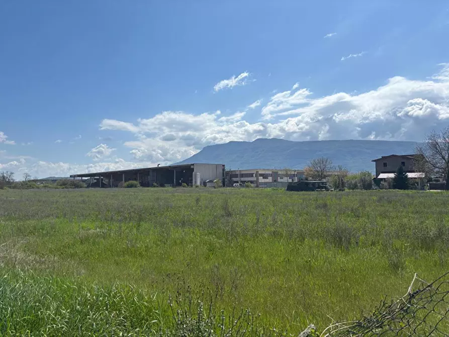 Immagine 5 di Terreno agricolo in vendita  in Via Osteria Della Fontana, 50 a Anagni