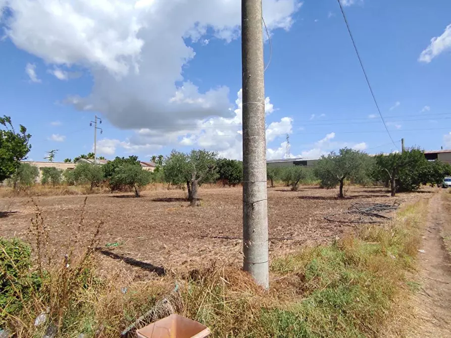 Immagine 11 di Terreno agricolo in vendita  in Via SAN ROCCO, SNC a San Severo
